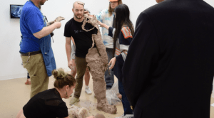 screen-shot-2016-10-19-at-8-22-16-pm