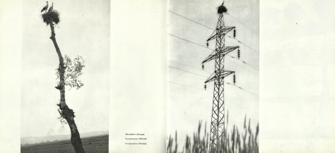 screen-shot-2017-01-12-at-2-18-13-pm