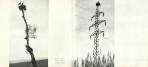 screen-shot-2017-01-12-at-2-18-13-pm